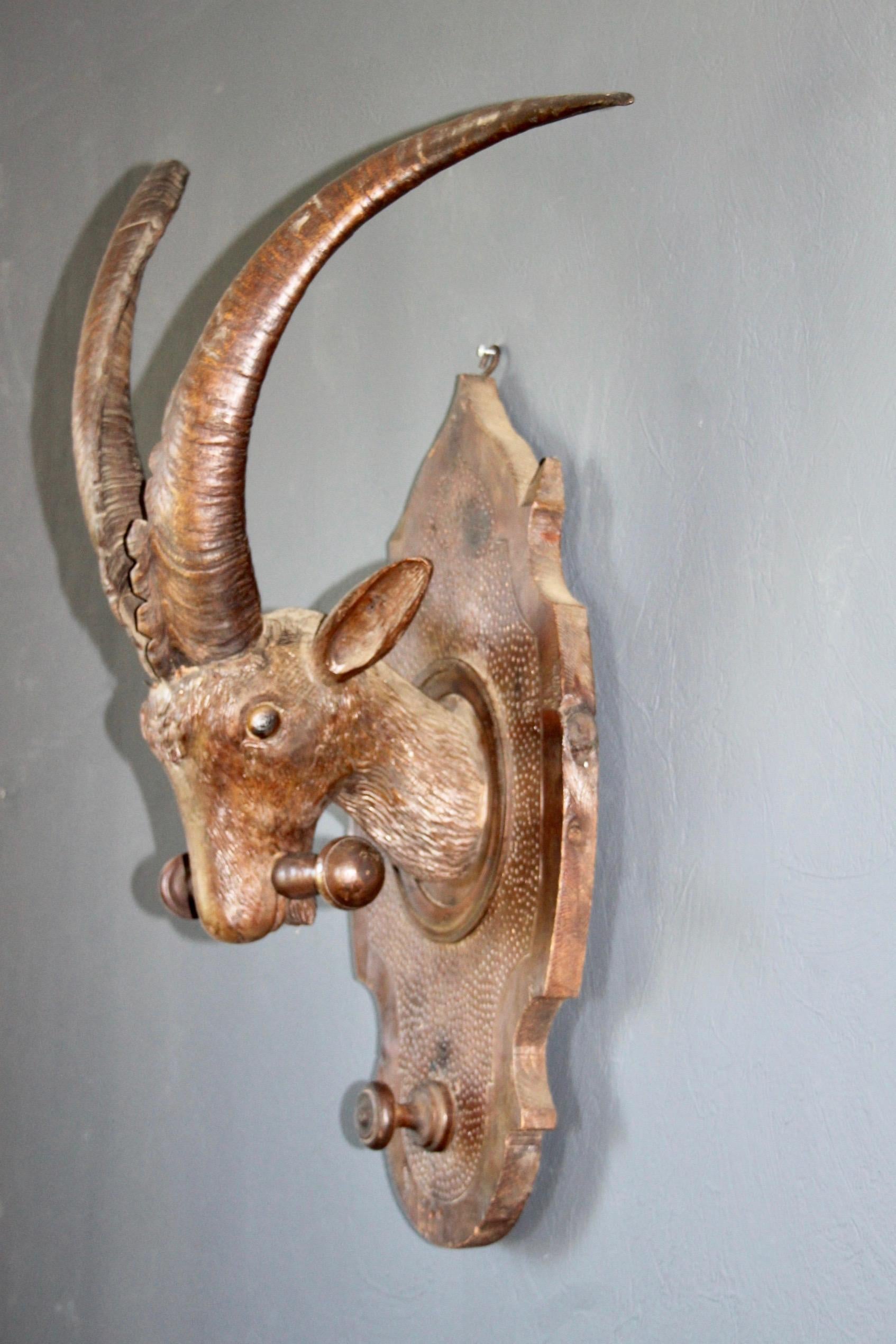 Late 19th Century 19th C. Black Forest Wall Mounted S Swiss Carved Wood Goat on a Plaque For Sale