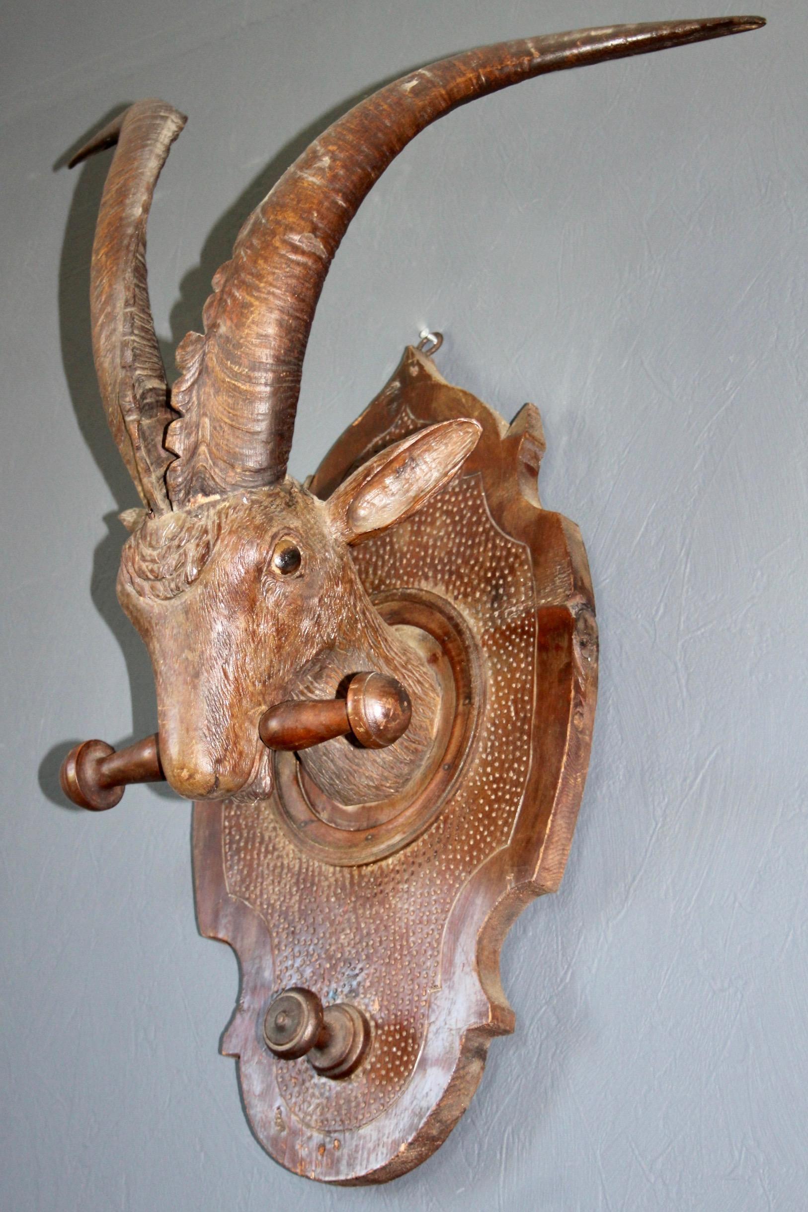 19th C. Black Forest Wall Mounted S Swiss Carved Wood Goat on a Plaque For Sale 1