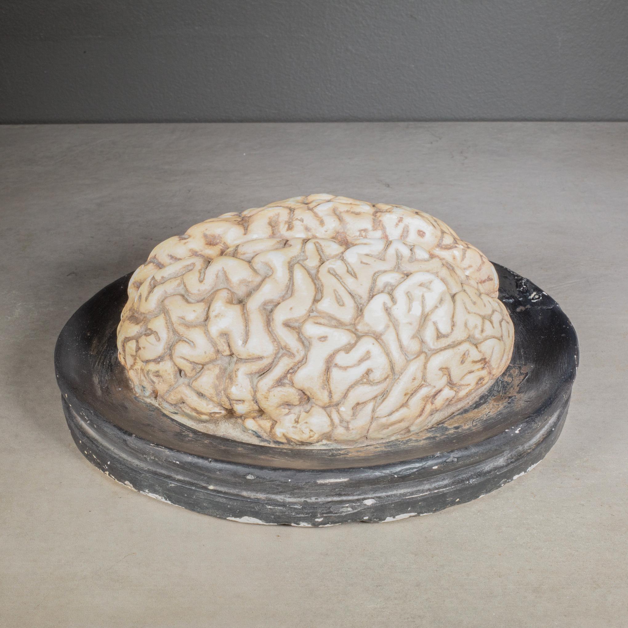 À PROPOS DE

Modèle anatomique en plâtre du cerveau humain, réalisé et peint à la main. Franz Josef Steger et l'anatomiste pathologiste Carl Ernst Bock ont collaboré à l'université de Leipzig pour produire des modèles anatomiques destinés à
