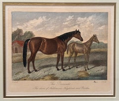 19. Jahrhundert. Britischer Reiterstich "Die Prinzessin" von Edward Hacker, Handkolorierung