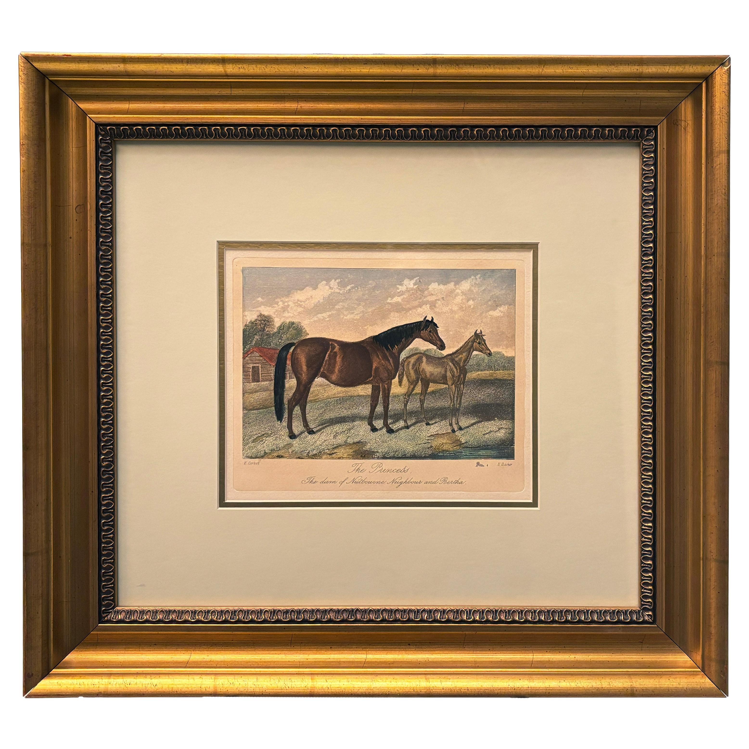 19th c. British Equestrian Engraving “The Princess” by Edward Hacker, Hand-color