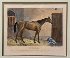 Britischer Rennradstich "Butterfly" aus dem 19. Jahrhundert von Edward Hacker