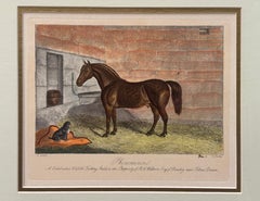 Incisione sportiva britannica del XIX secolo "Phenomenon" di Edward Hacker