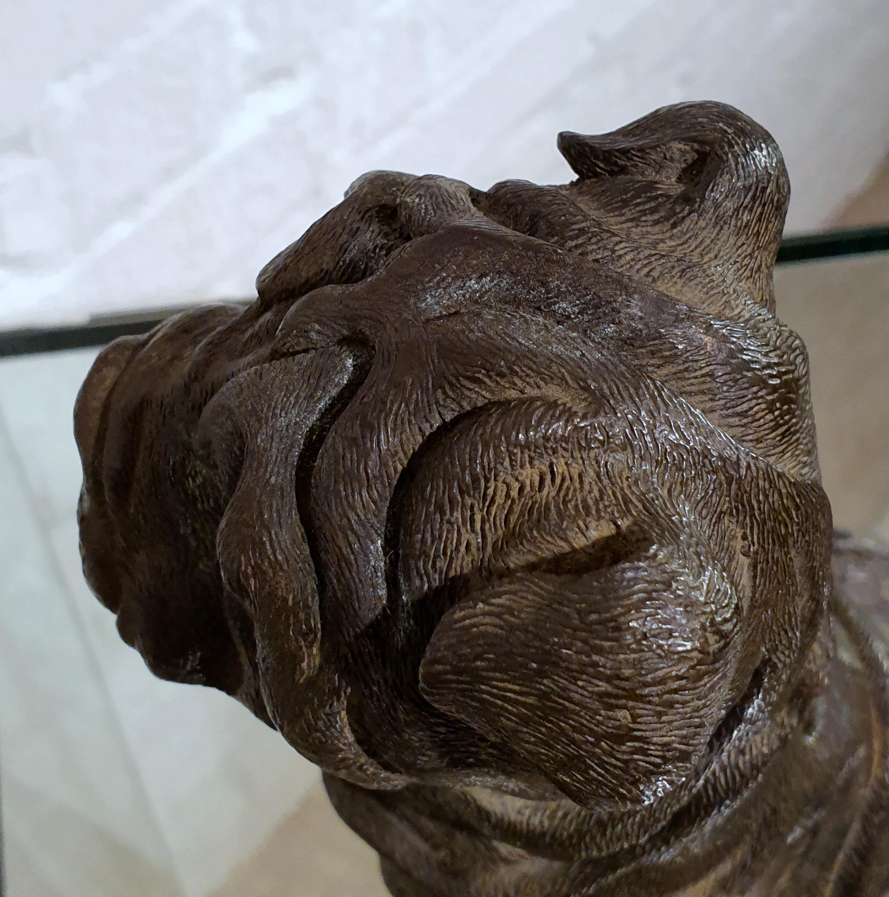 19th Century Bronze Chinese Sharpei Dog 8