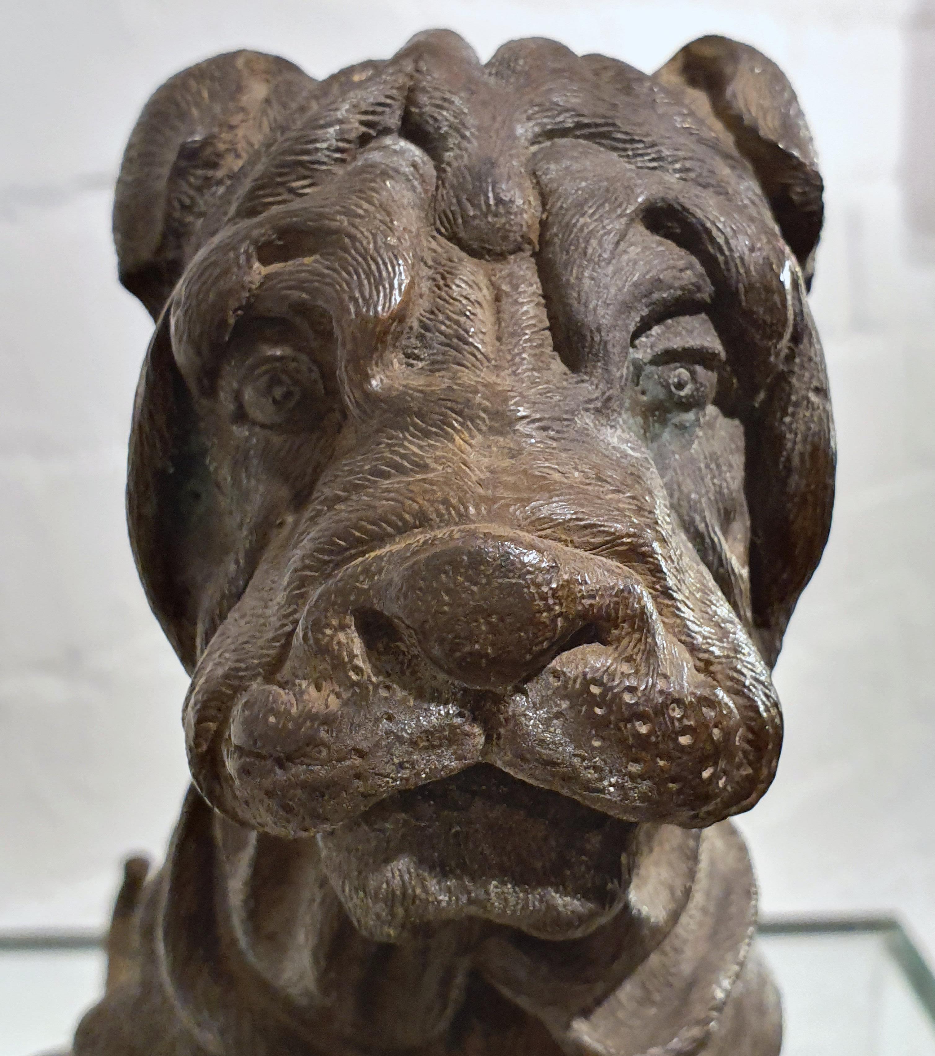 19th Century Bronze Chinese Sharpei Dog 9