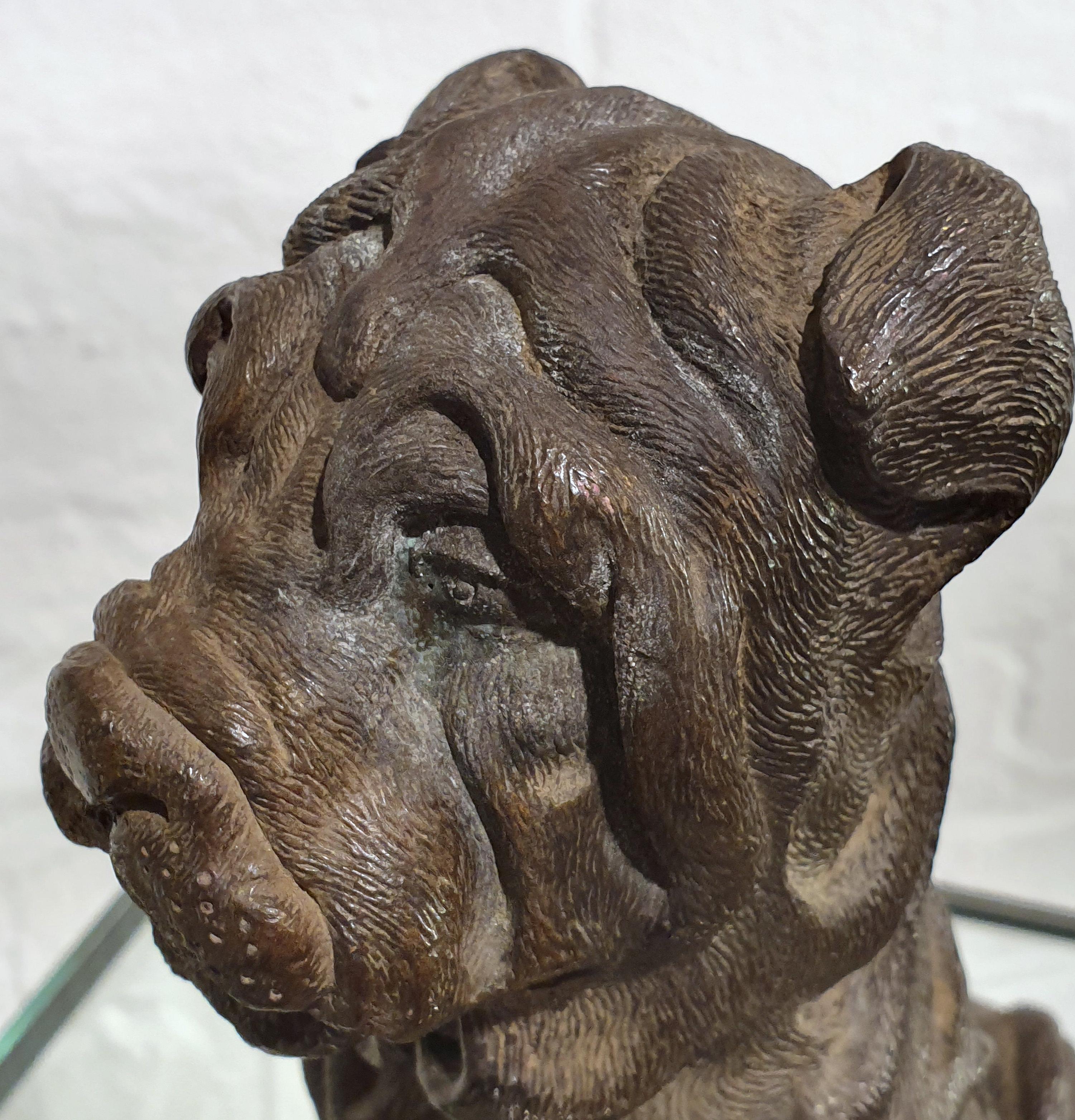 19th Century Bronze Chinese Sharpei Dog 4
