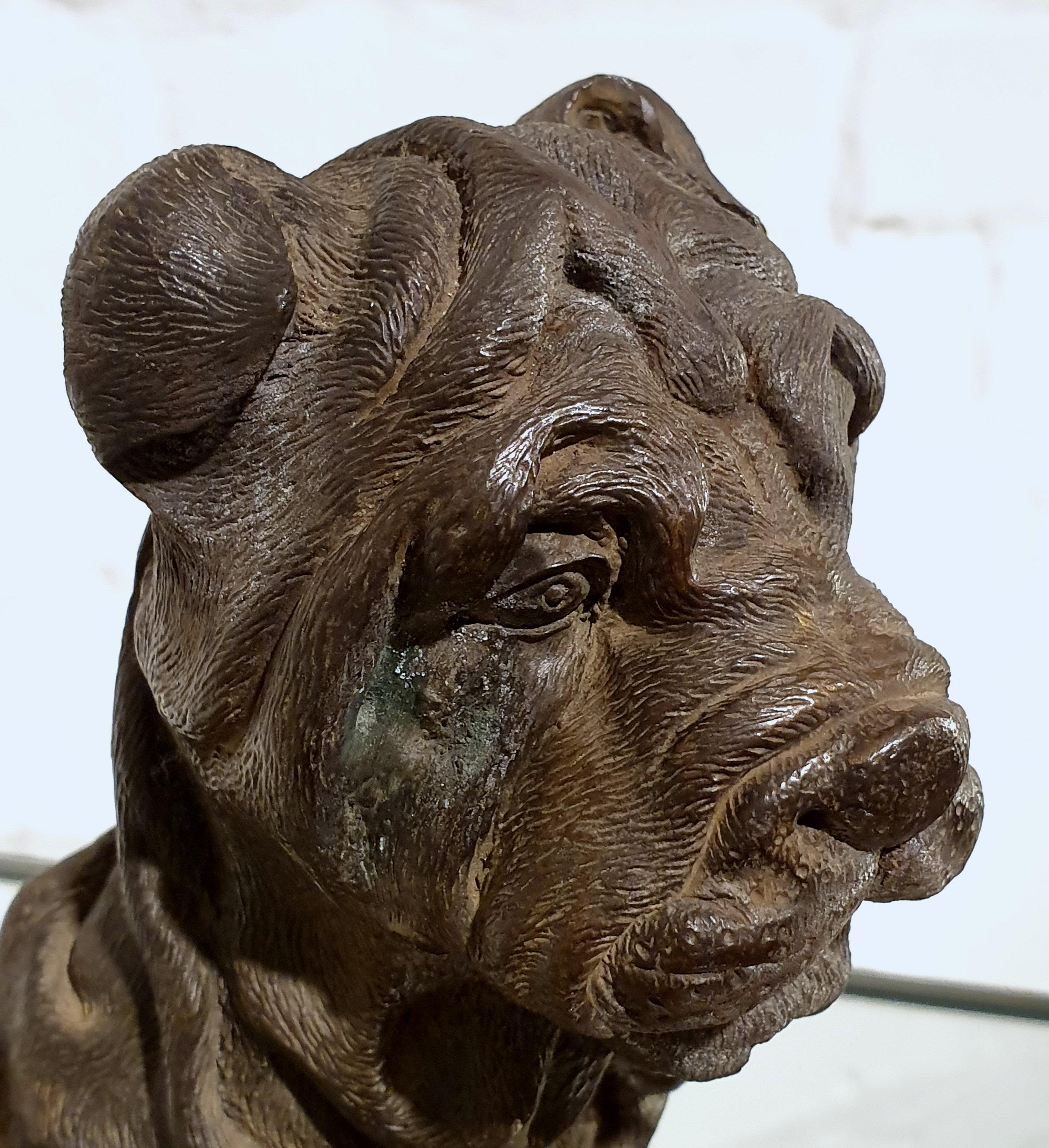 19th Century Bronze Chinese Sharpei Dog 5