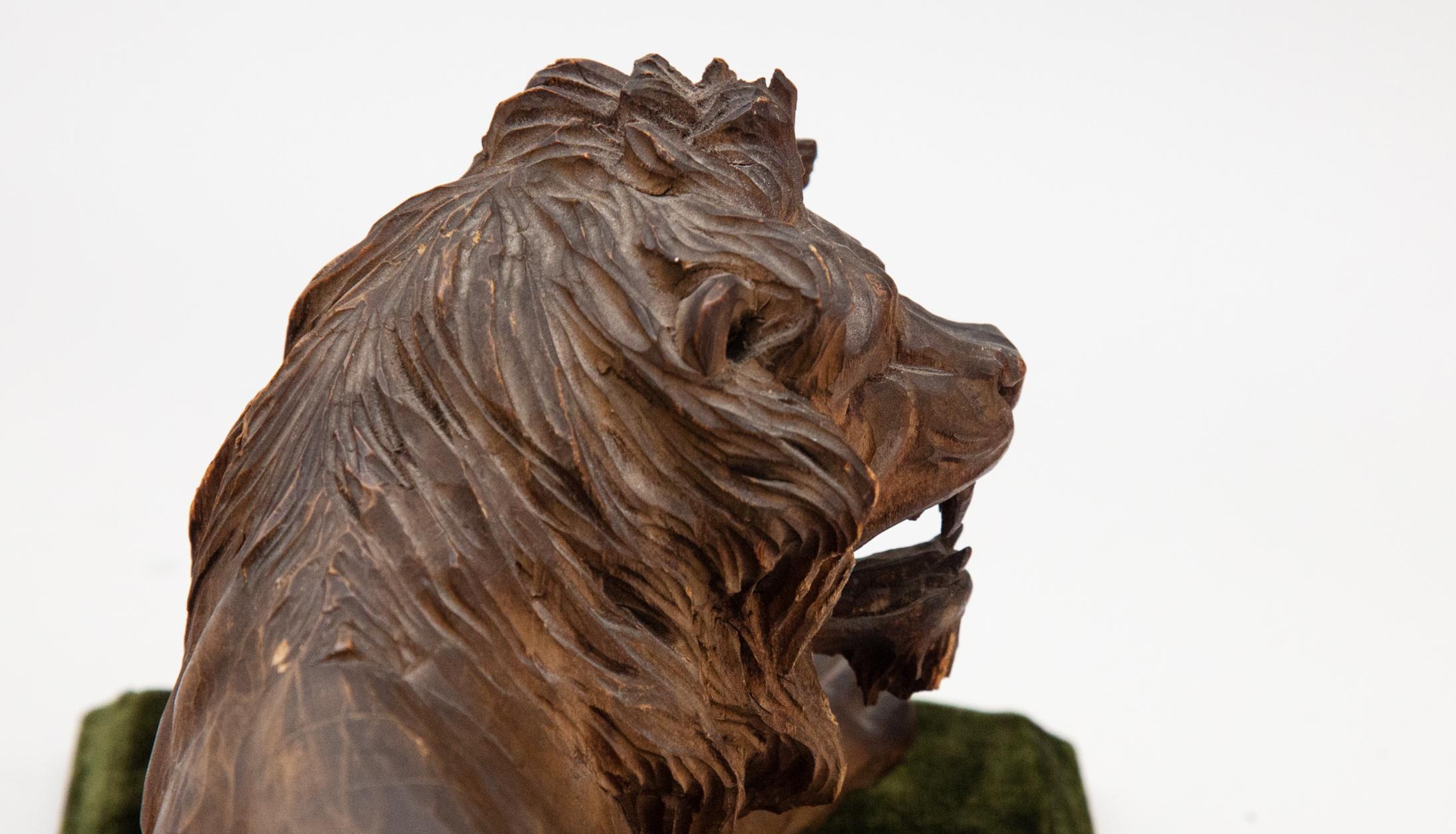 19th Century Carved Wooden Reclining Lion on a Green Velvet Base 8