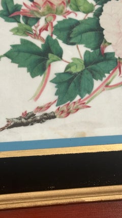 19th C China Trade Watercolor Pith Paper Eglomise Frame with Floral Butterflies