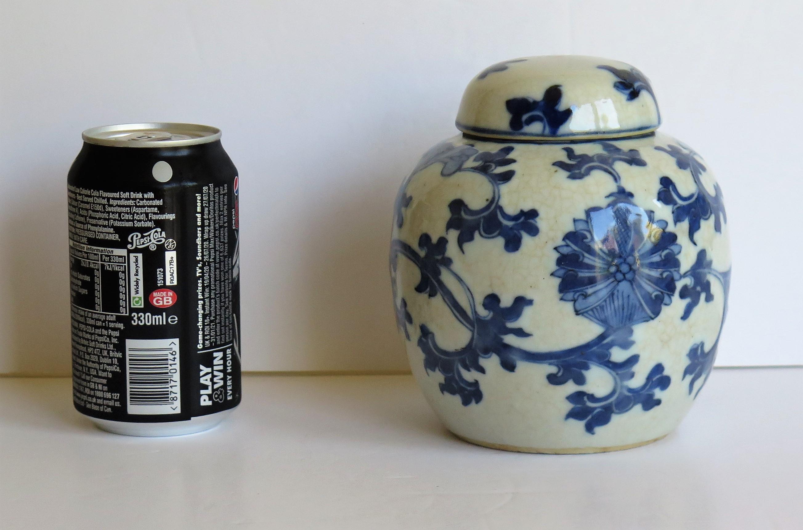 Chinese Export Lidded Jar moulded Porcelain Hand painted Blue and White  10
