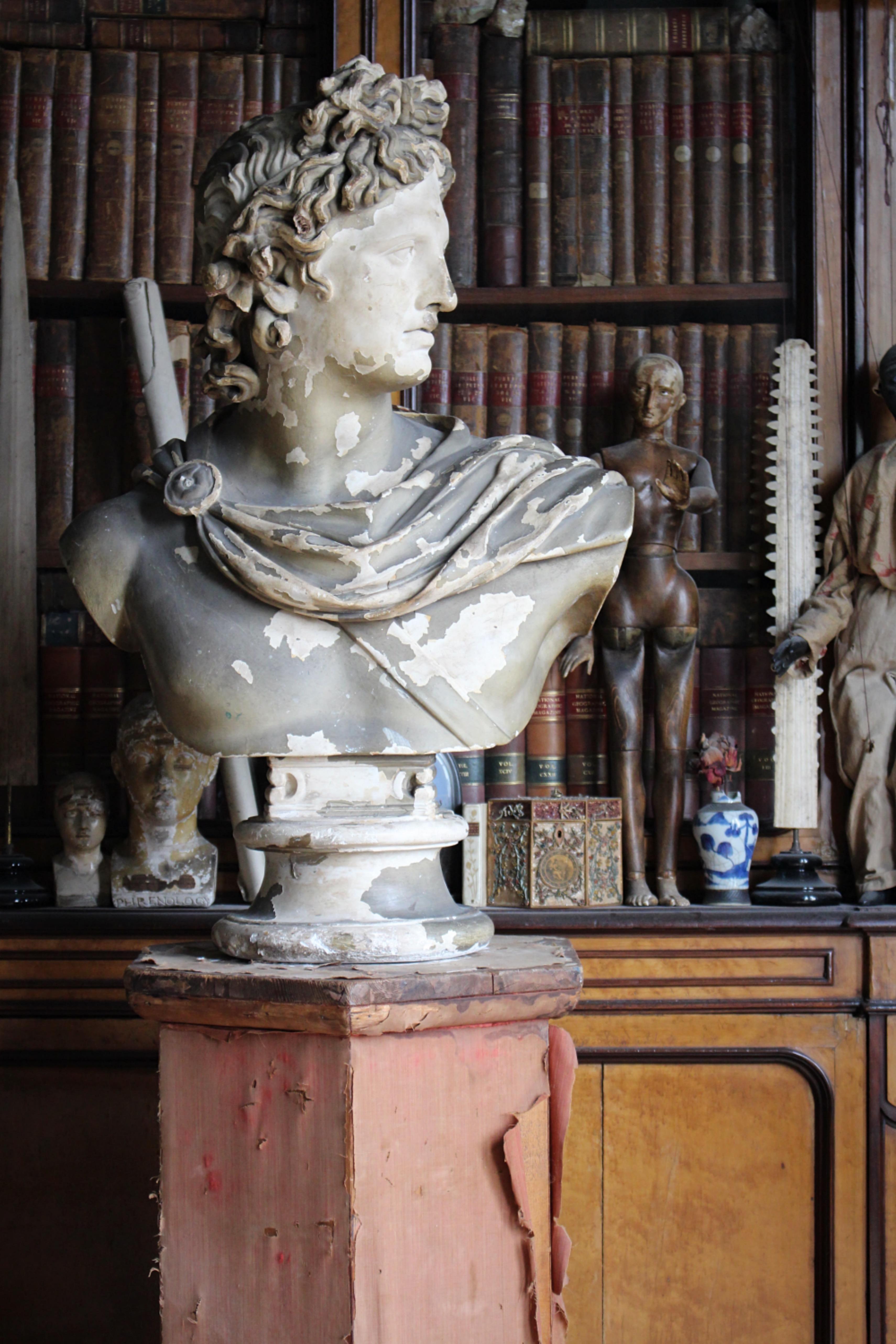 English 19th C Classical Plaster Bust Apollo by Louis Brugiotti London Grand Tour For Sale