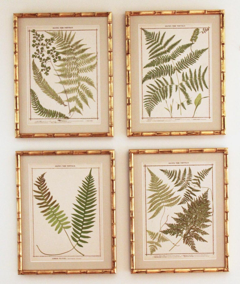 A beautiful collection of four chromolithographs from the 19th c. by Francis George Heath. Archival quality framing with archival matte front and back, protecting the original, antique paper, and museum glass that offers protection from sunlight and