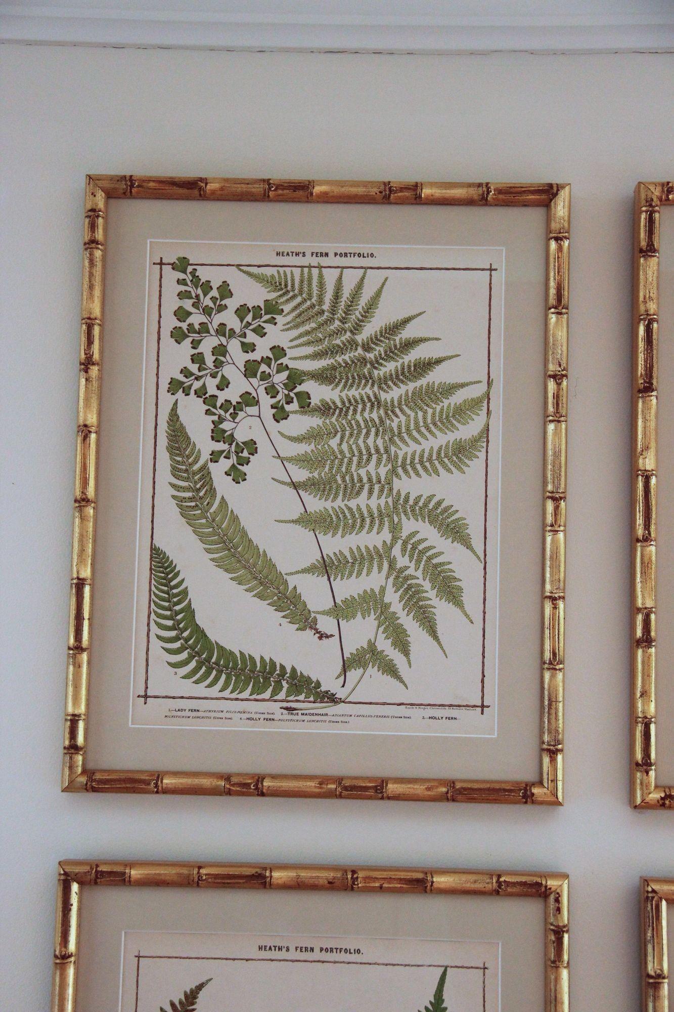 Hand-Crafted 19th C. Collection of Four Framed English Chromolithograph Ferns