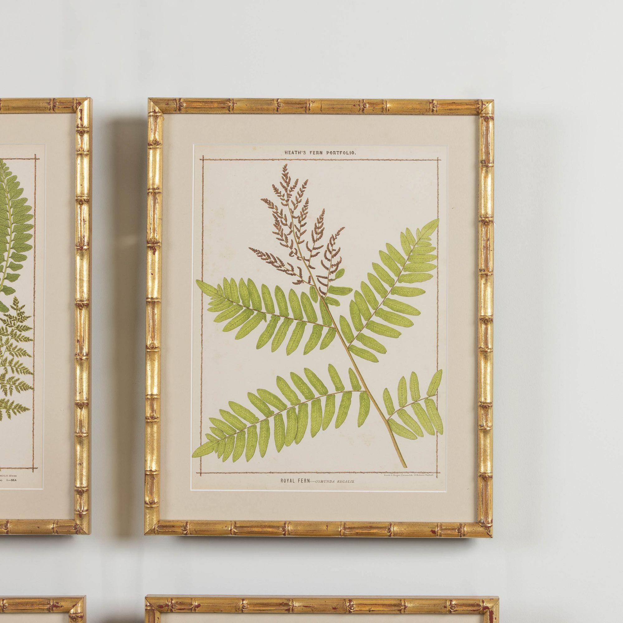 19th Century 19th c. Collection of Four Framed English Chromolithograph Ferns