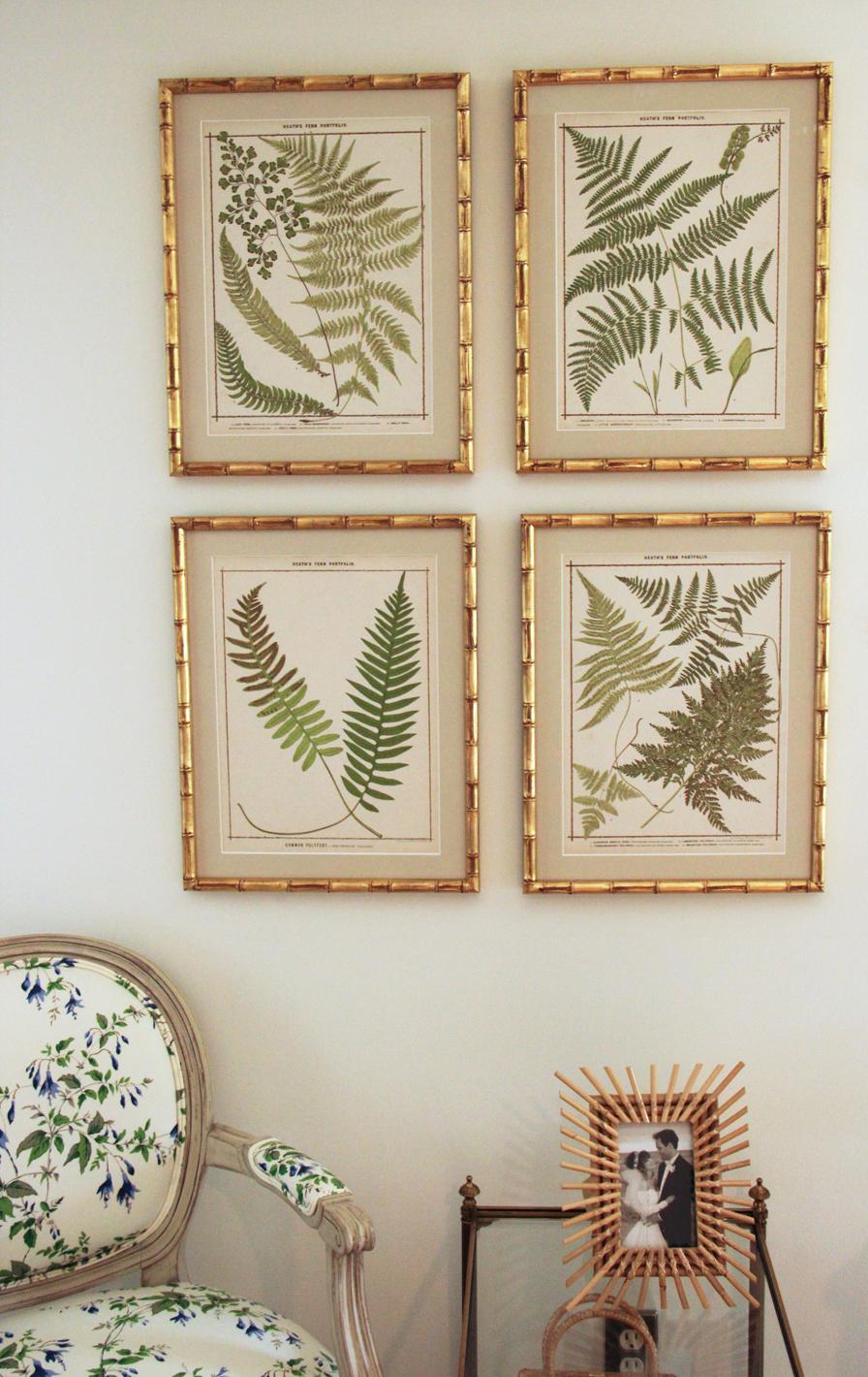 19th C. Collection of Four Framed English Chromolithograph Ferns 1