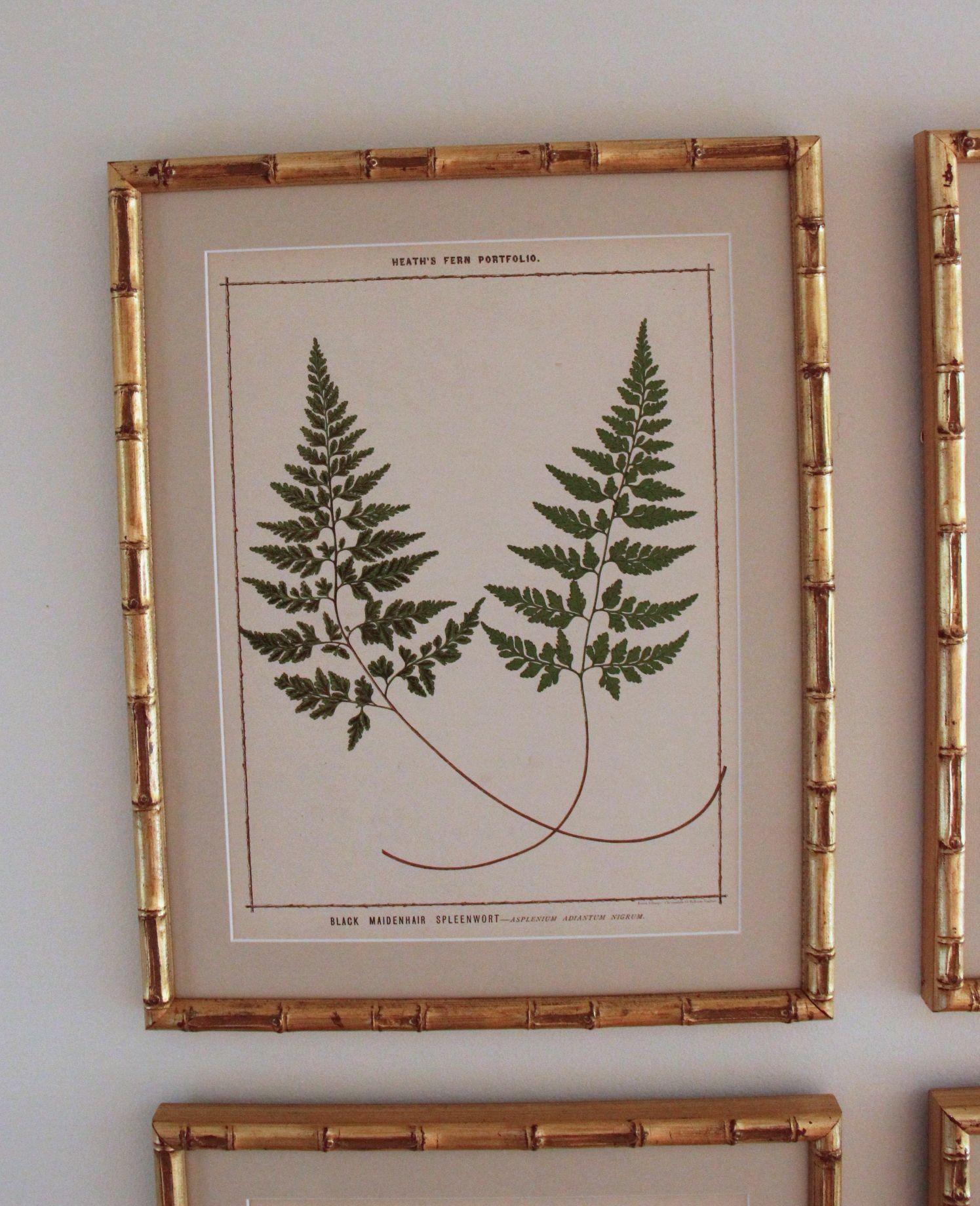 Hand-Crafted 19th c. Collection of Six Framed English Fern Chromolithographs