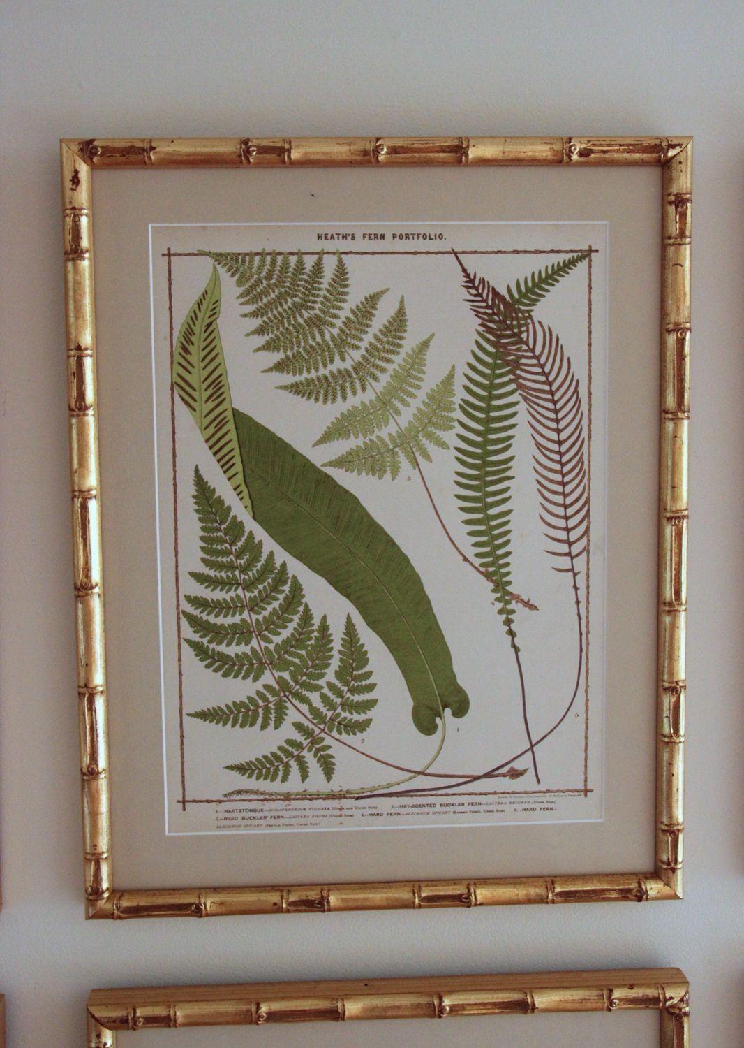 19th c. Collection of Six Framed English Fern Chromolithographs In Excellent Condition In Wichita, KS