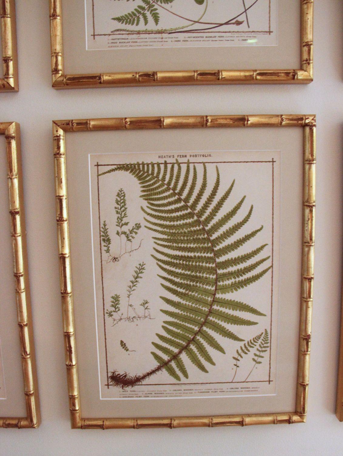 19th c. Collection of Six Framed English Fern Chromolithographs 1