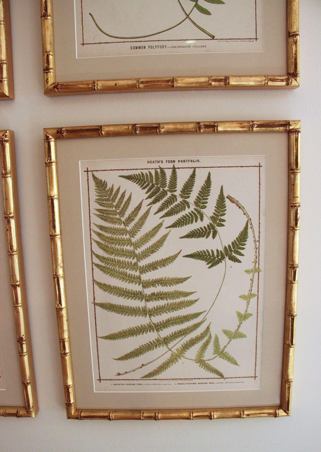 19th c. Collection of Six Framed English Fern Chromolithographs 2