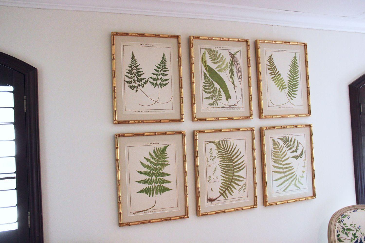 19th c. Collection of Six Framed English Fern Chromolithographs 3