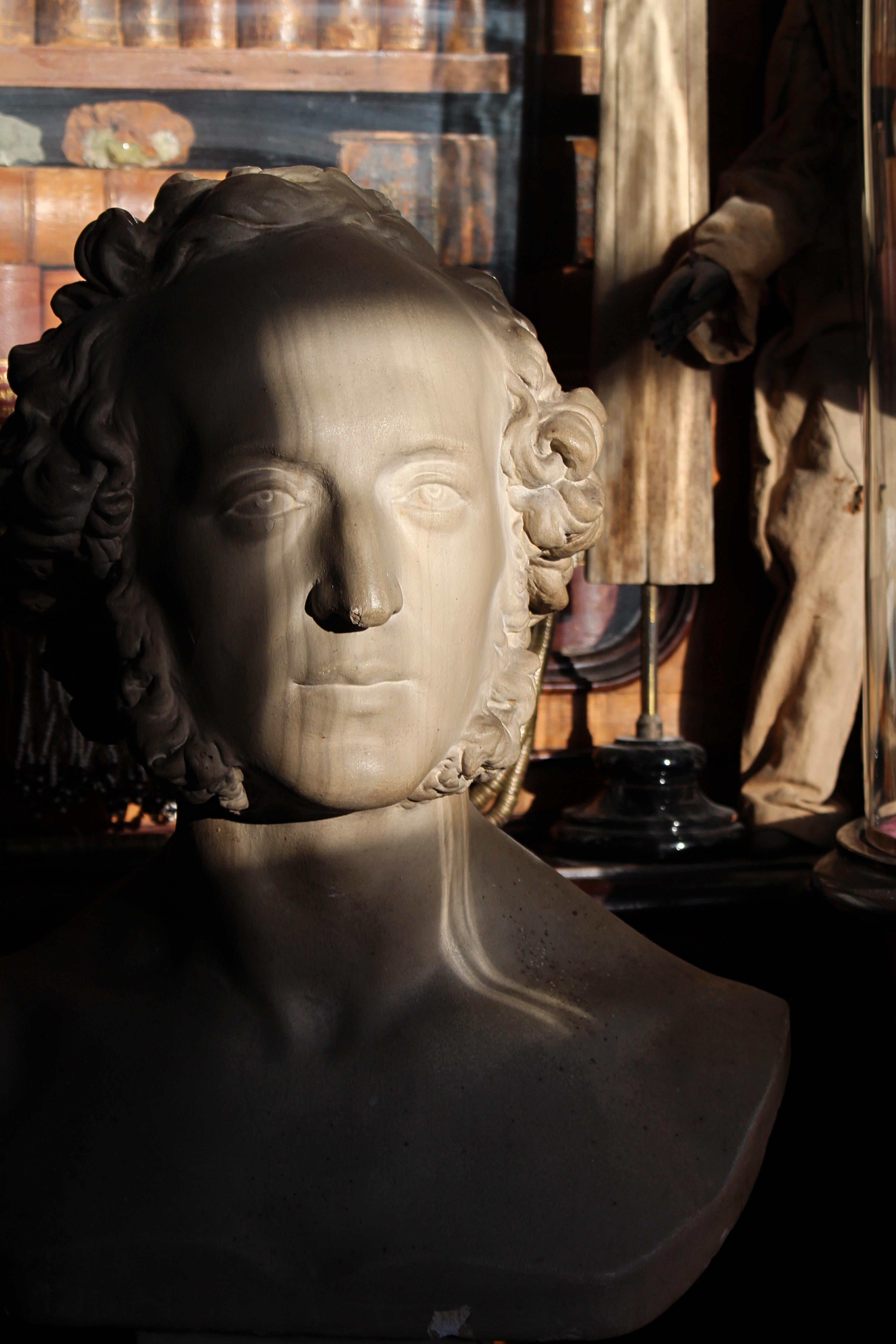 19. Jahrhundert Landhaus Bibliothek Gipsbüste des Komponisten Felix Mendelssohn 6
