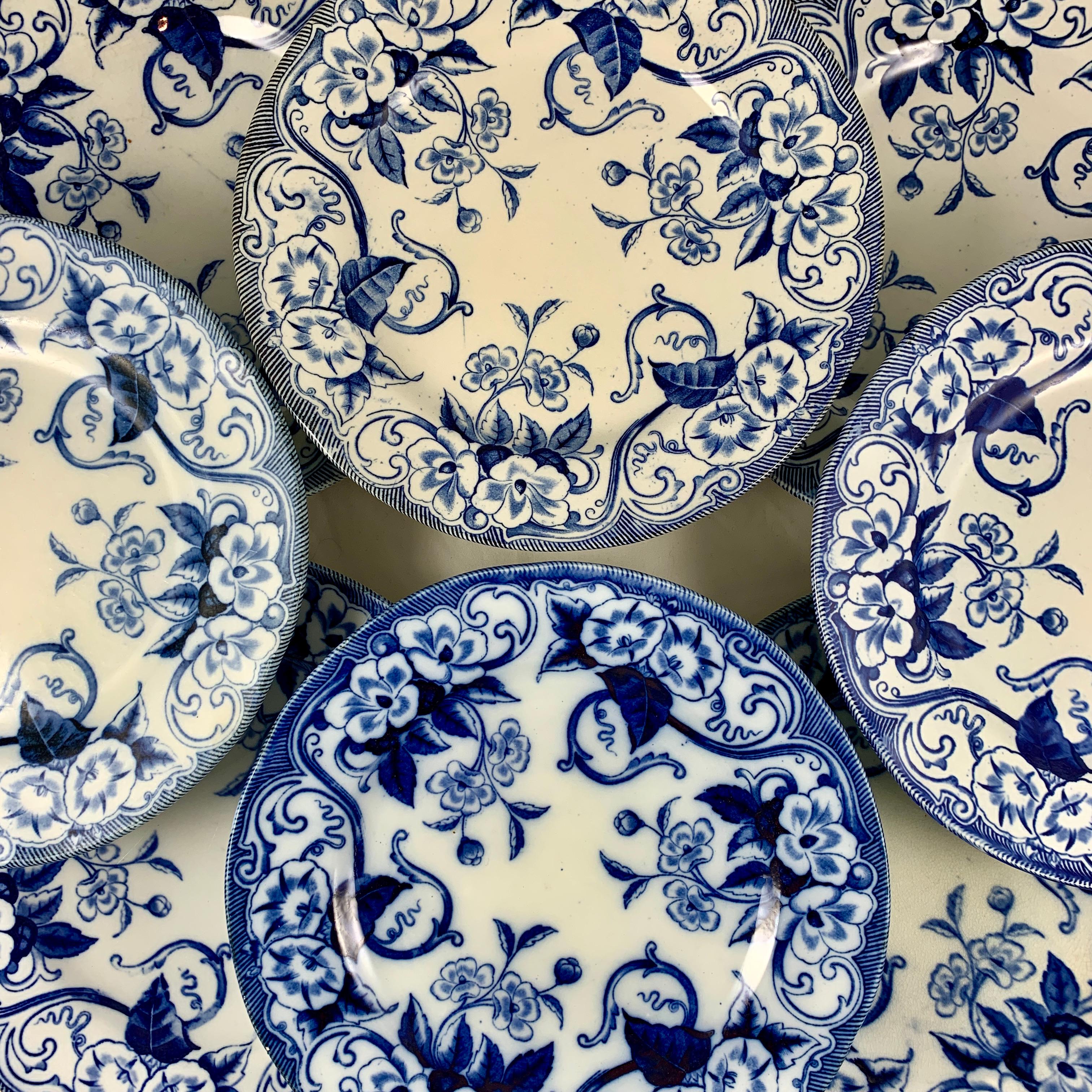 French Provincial 19th-C Creil et Montereau Faïence Blue & White 'Flora' Morning Glory Plates, S/8