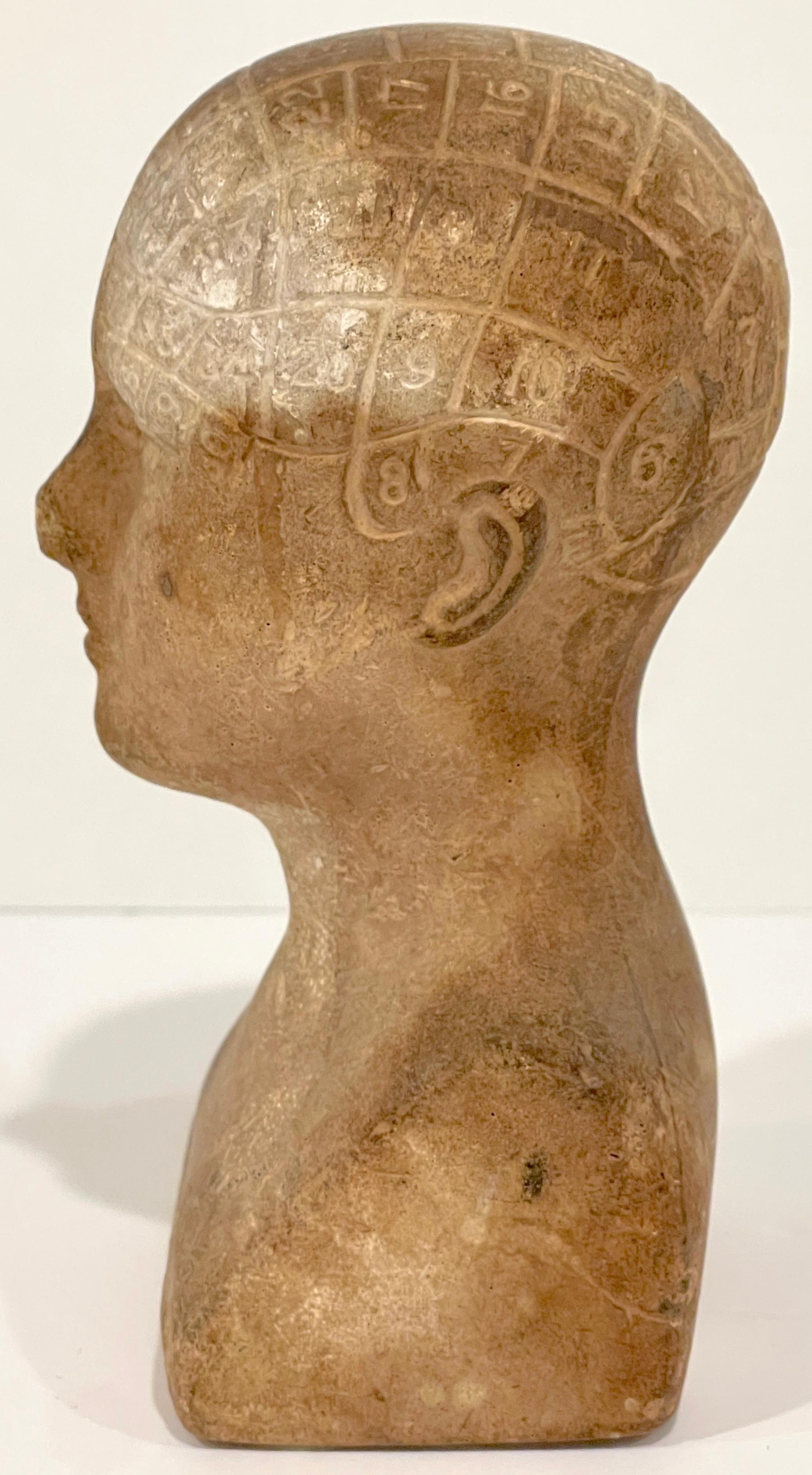 19th C. Diminutive Plaster Phrenology Head, Atribb. A.L. Vago London, C.1870 For Sale 3