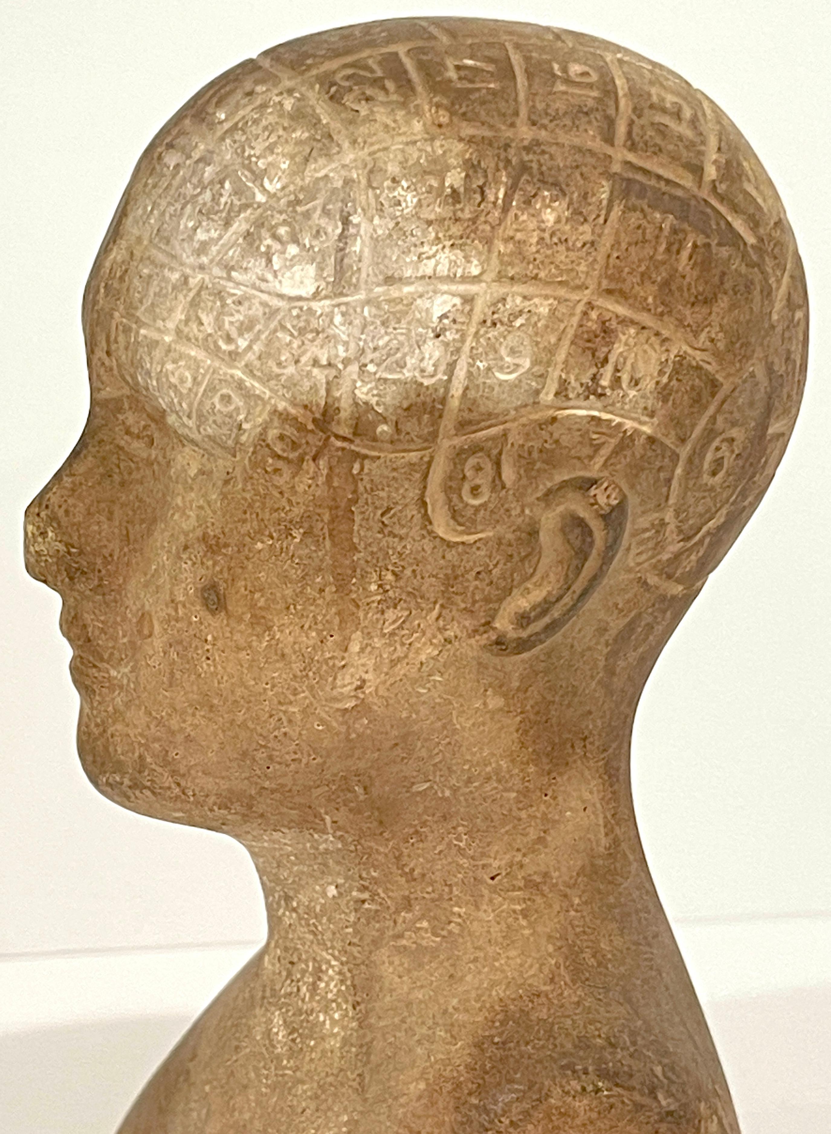 Polychromed 19th C. Diminutive Plaster Phrenology Head, Atribb. A.L. Vago London, C.1870 For Sale