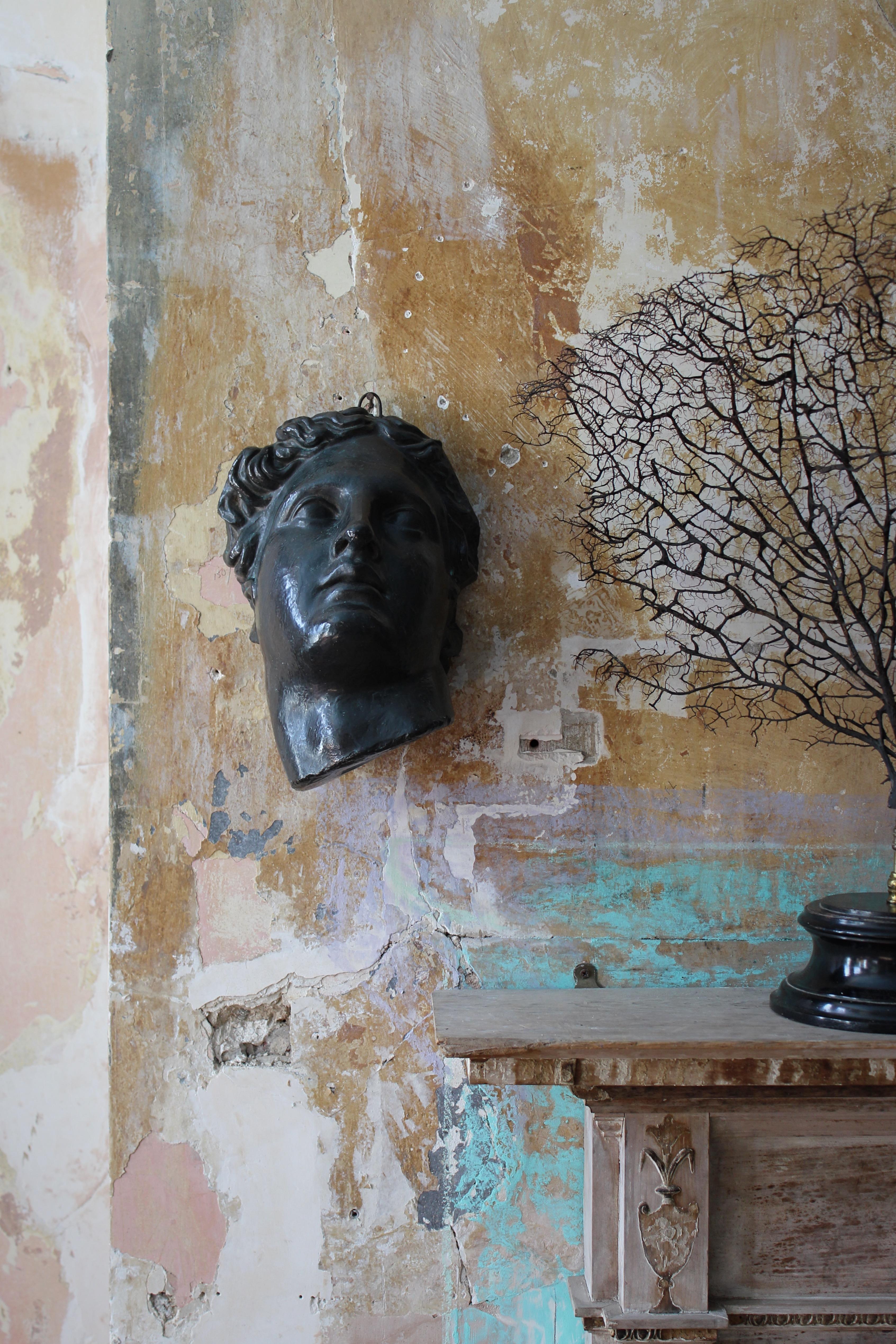 19th C Domenico Brucciani Plaster Classical Bust Faux Bronze Grand Tour Museum In Good Condition In Lowestoft, GB