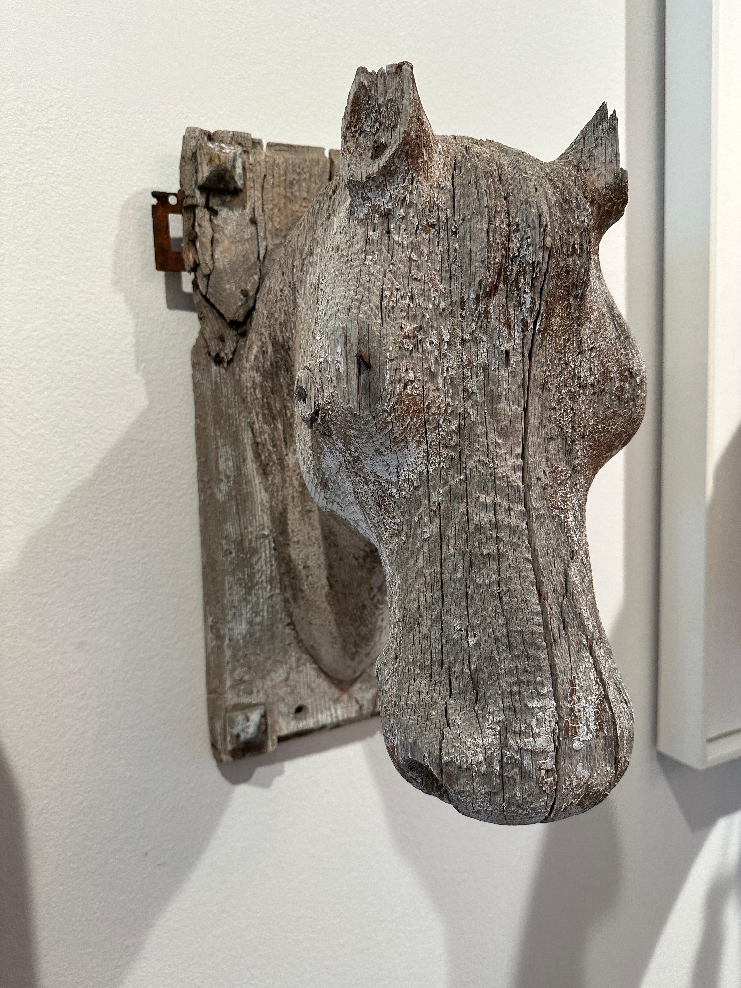 19th C. English Life-Size Carved Wood Pony Head Sculpture For Sale 3