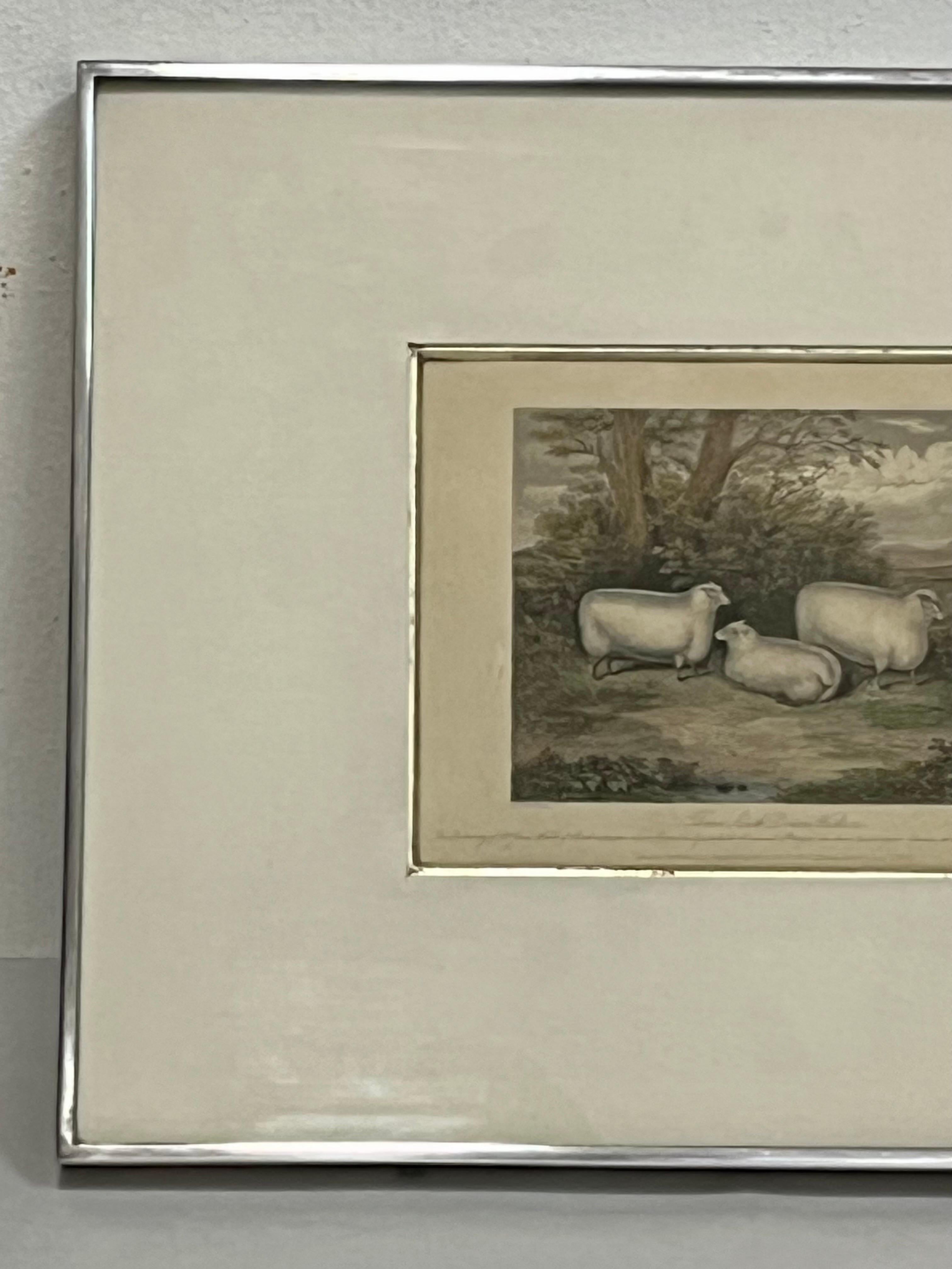 19th Century 19th C English Print by H. Strafford of Three South Down Wethers Kulicke Frame For Sale