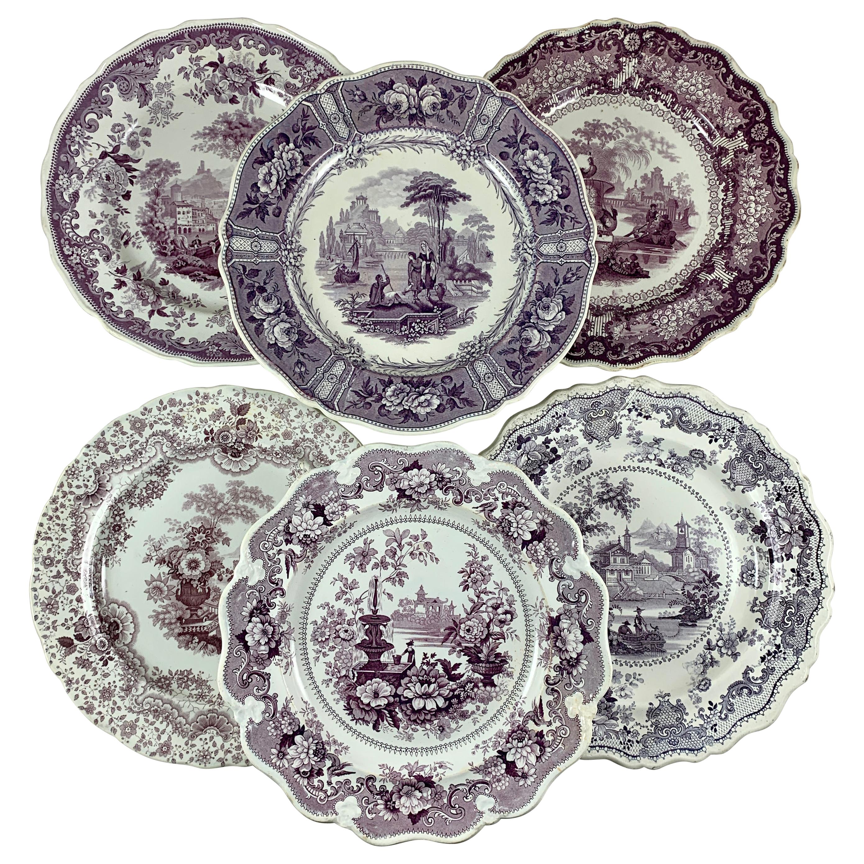 English Staffordshire Purple Transferware Dinner Plates, Mixed Set of 6