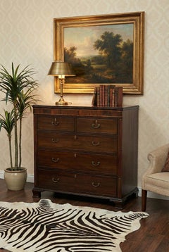 XIX sec. Cassapanca scozzese inglese William IV in mogano e legno satinato