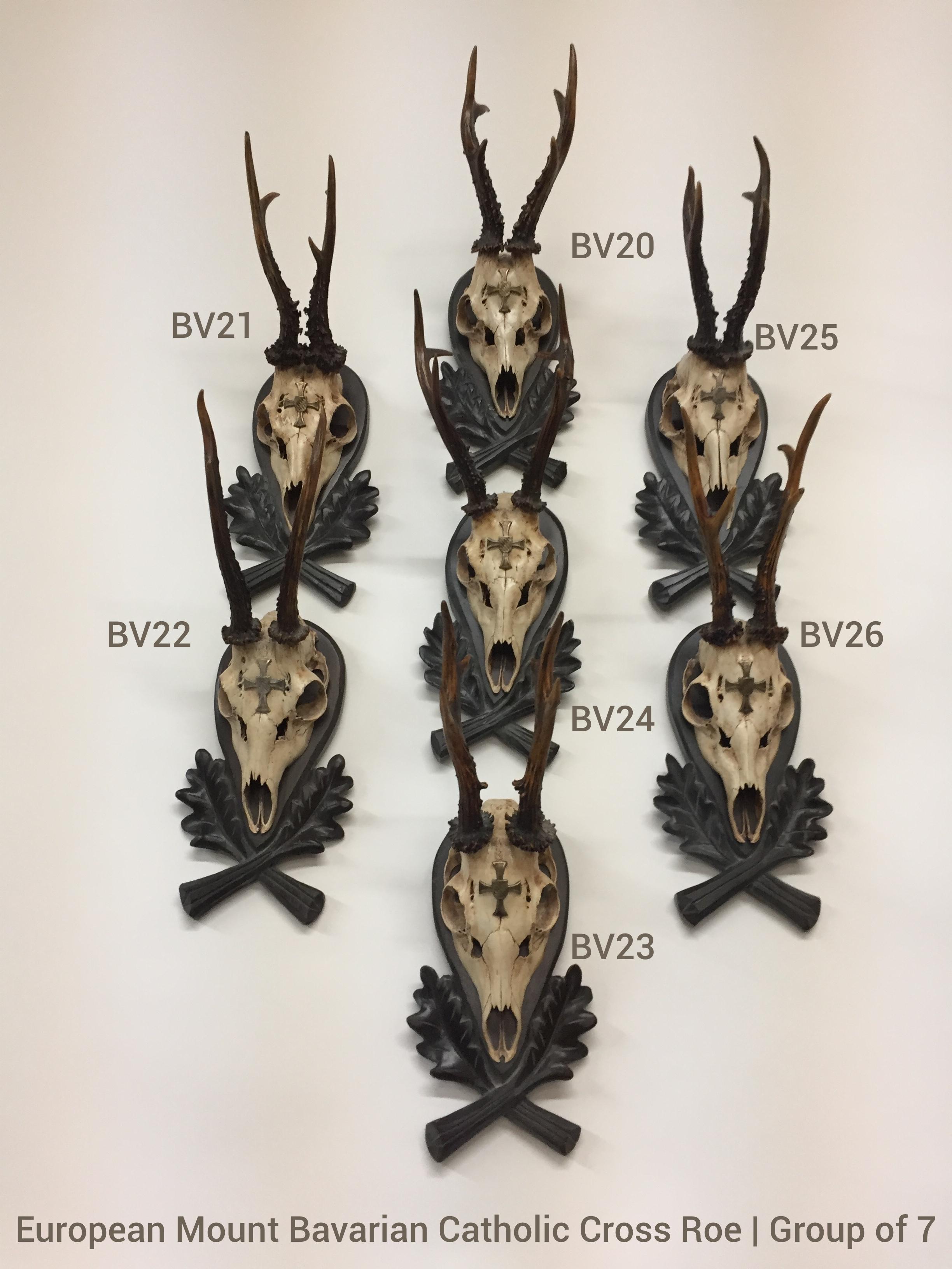 An extraordinary grouping of European Mount Roe Trophies, attributed to the Bavarian Kings. These 19th century Roe Trophies are mounted on hand-carved Black Forest plaques, and are decorated with a Bavarian Catholic Cross wappen on the skull of each