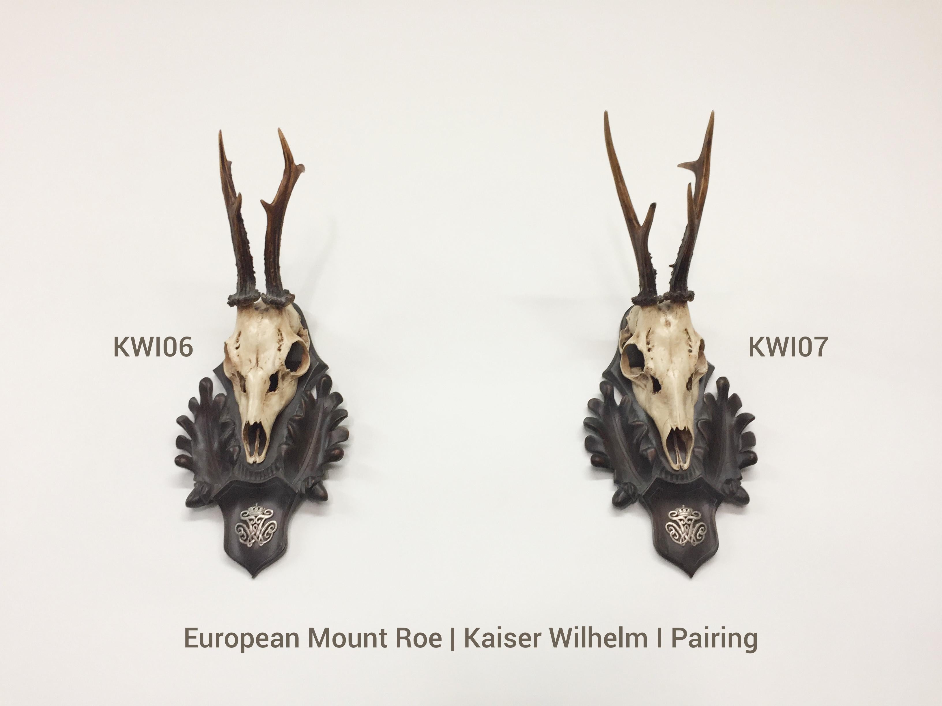 An extraordinary pairing of European Mount Roe Trophies, attributed to Kaiser Wilhelm I, King of Prussia and the first Emperor (Kaiser) of the United Germans. These 19th century Roe Trophies are mounted on hand-carved Black Forest plaques, featuring