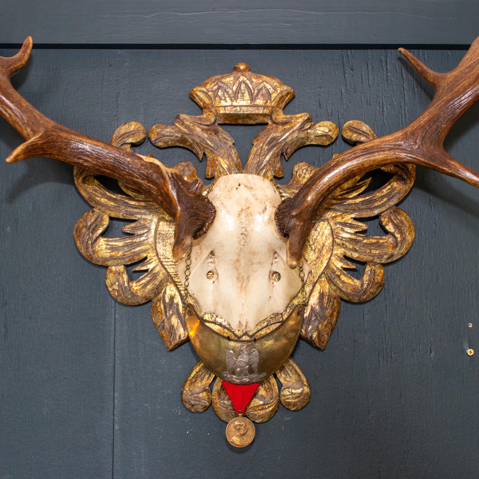 This historical 19th century Habsburg fallow deer trophy is mounted on a hand carved, gold gilt Habsburg double-headed eagle back plaque representing the the Austro-Hungarian Empire (where Emperor Franz Joseph was Emperor of Austria and King of