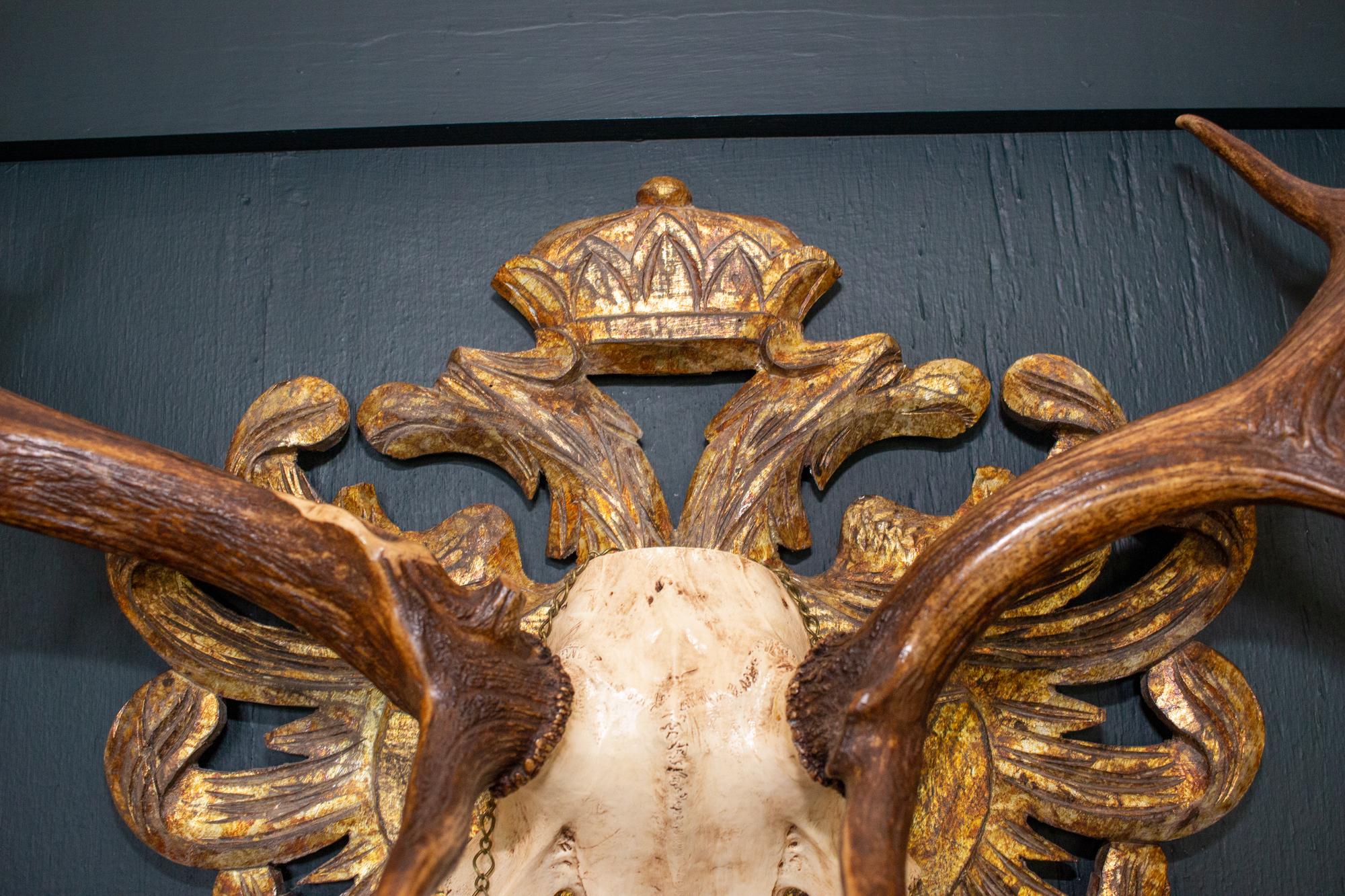 19th C Fallow Deer Trophy from Emperor Franz Josef of Austria on Gilt Plaque In Good Condition In Houston, TX