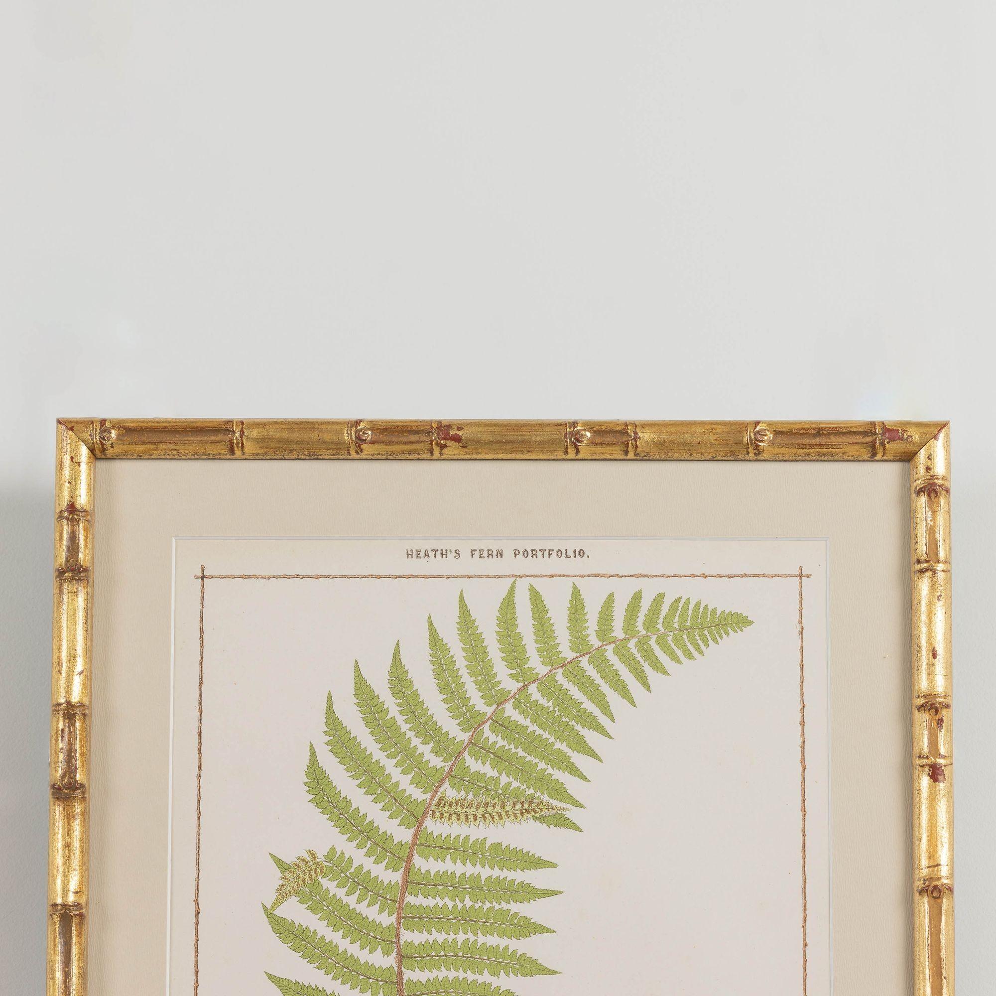19th c. Framed English Chromolithograph Fern In Excellent Condition For Sale In Wichita, KS