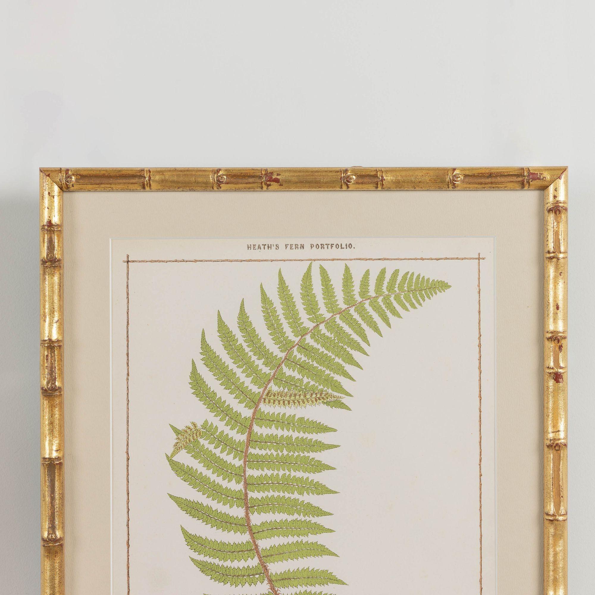 19th Century 19th c. Framed English Chromolithograph Fern For Sale