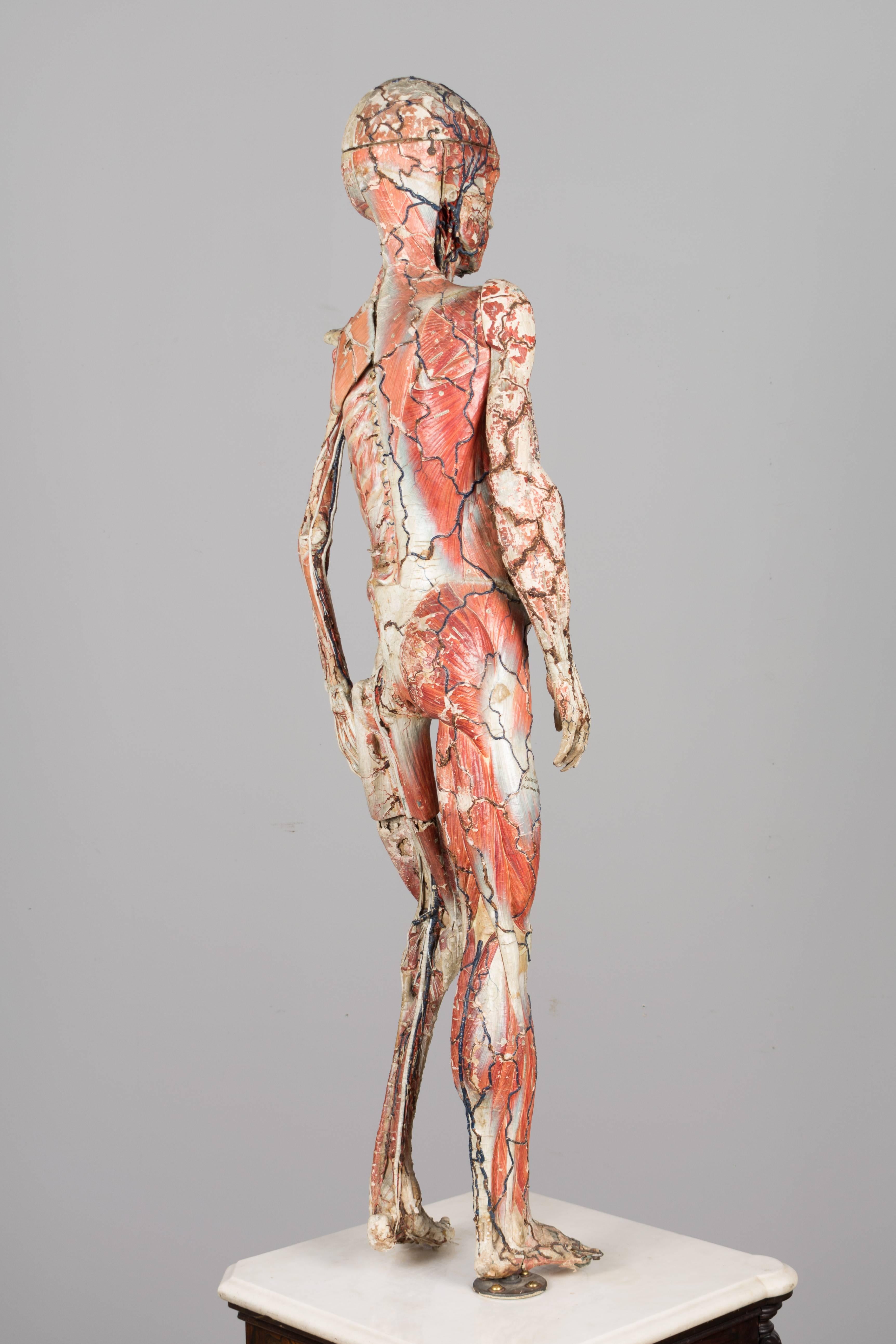 torso beschriftet