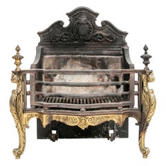 Antique 19th C. French Fire Box With Gilt Bronze Front