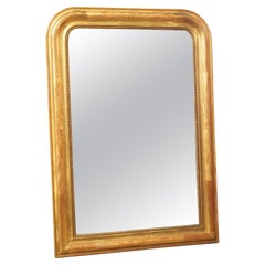 19th C. French Giltwood Louis Philippe Mirror with Floral and Foliate Motifs