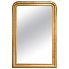 A.I.C. Louis Philippe, miroir en bois doré sculpté avec motifs floraux gravés, 19e C.