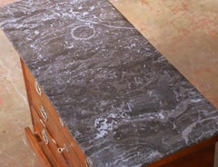 19th C. French Louis-Philippe Mahogany Chest of Drawers with Grey Marble Top