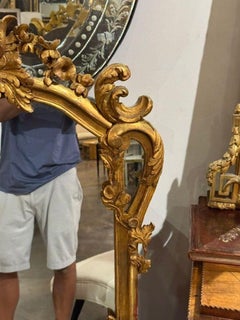 19th c. French Louis XV Giltwood Mirror