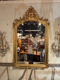 19. Jahrhundert. Französischer Louis XVI-Giltwood-Spiegel