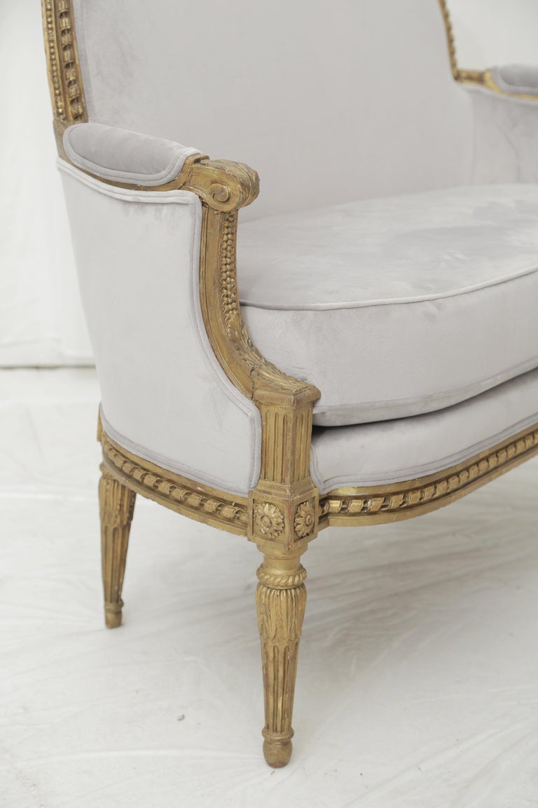 19th Century French Louis XVI Style Carved Giltwood and Pale Grey Seating Suite 15