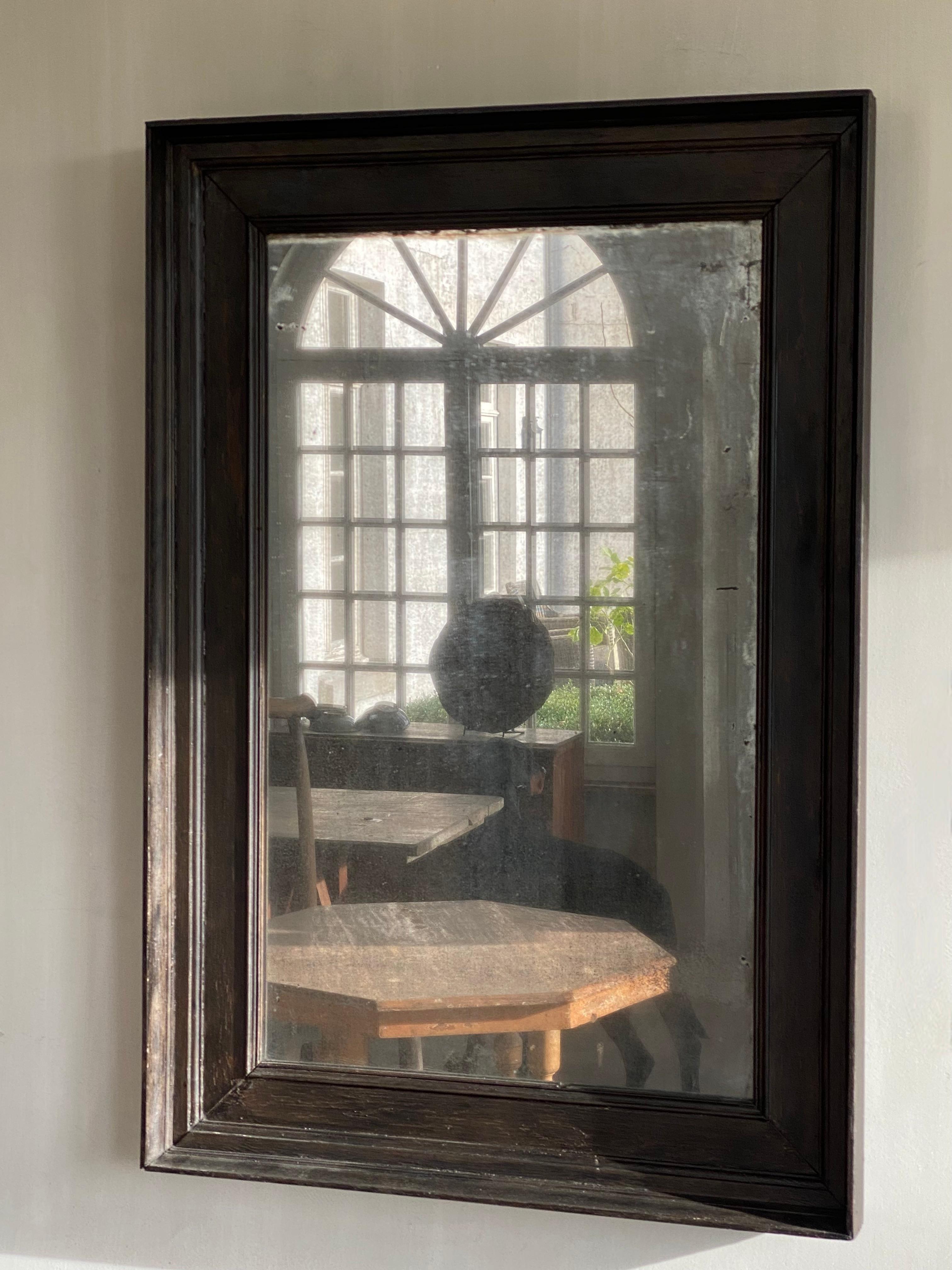 19th C French Mirror In Good Condition For Sale In Nijlen, BE