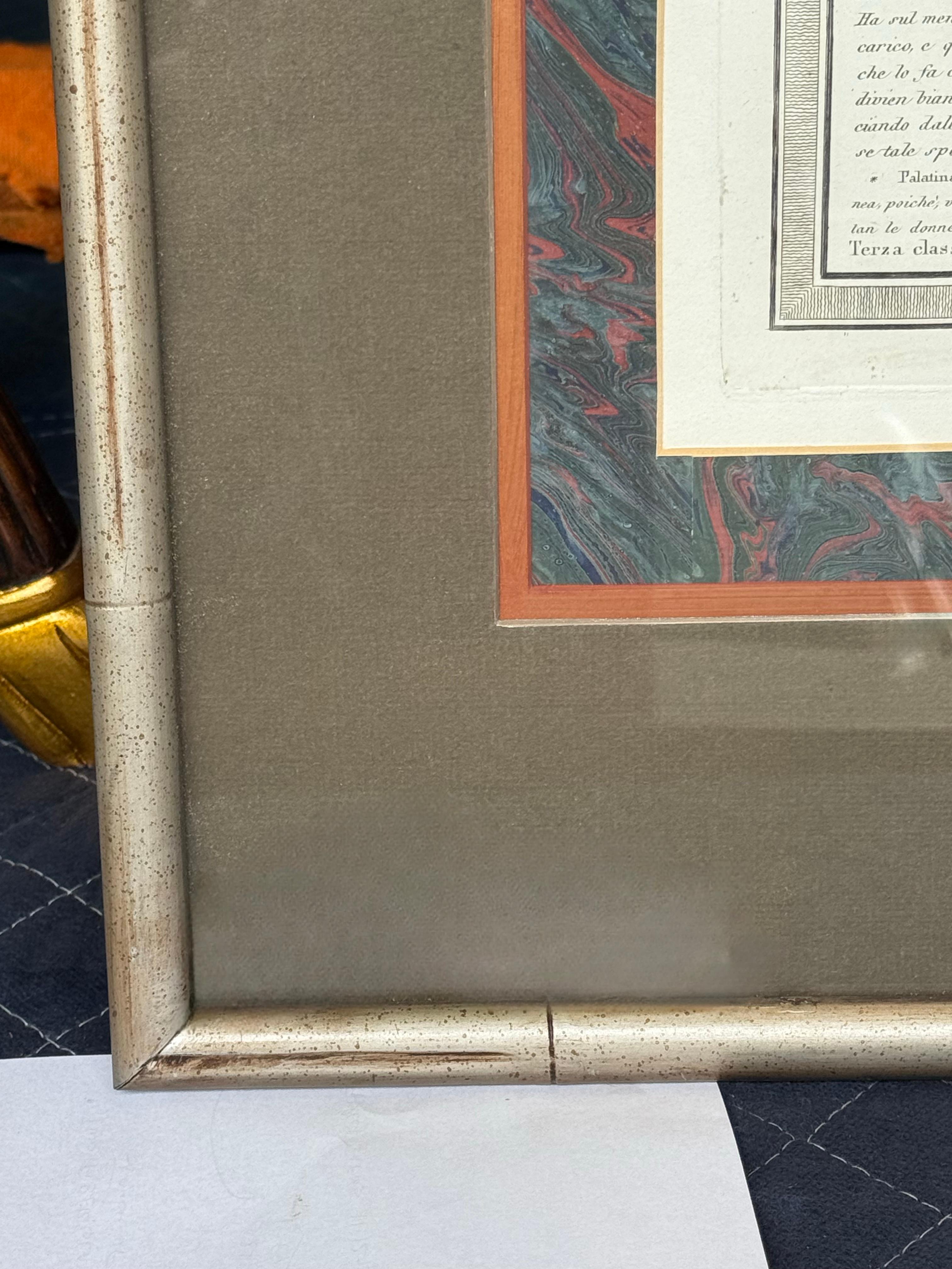 19ème siècle. Gravures de singes par Nicolas Henry Jacob - Les singes de Jacob - S/6 en vente 9