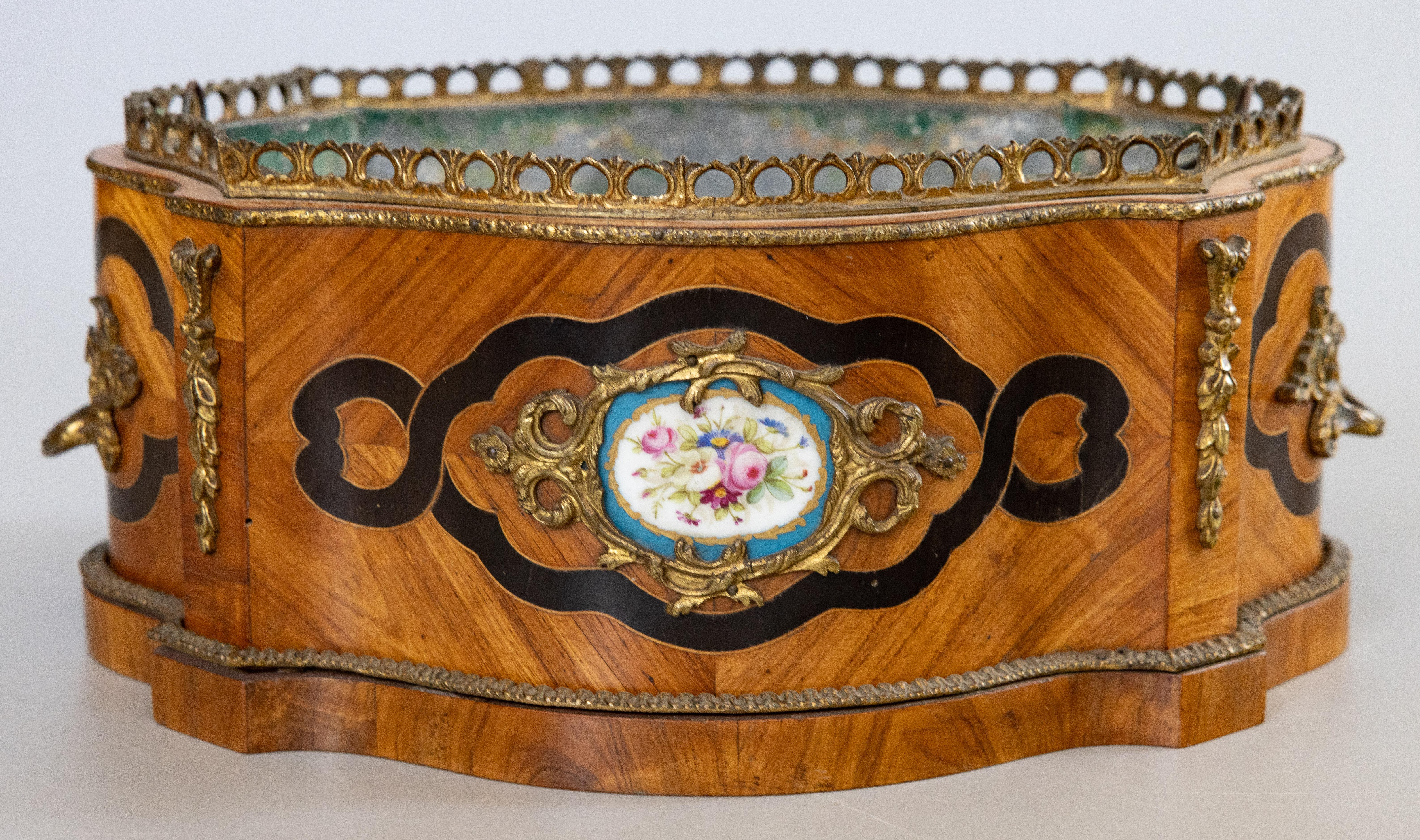 19th Century 19th C. French Napoleon III Sevres Porcelain Walnut Ormolu Jardiniere Bloom Box For Sale